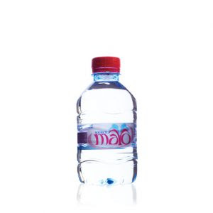 L'eau Mayo 0,33L