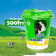 [Fromage &amp; Butter &amp; Yaourt] Congo Yaourt 250g